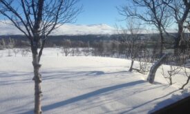 stuga Ljungdalen Ljungdalsfjällen Härjedalen