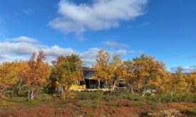 stuga Ljungdalen Ljungdalsfjällen Härjedalen