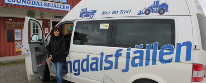 Ljungdalsfjällens Taxi & Entreprenad