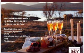 destination Ljungdalen mountains wellbeing yoga hiking rual accomondation
