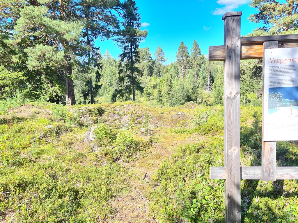 Varggrop Ljungdalsfjällen