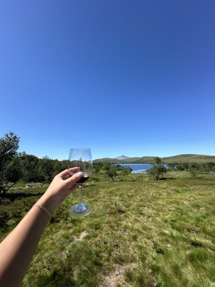 Ljungdalsfjällen