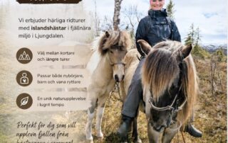 Ljungdalsfjällen